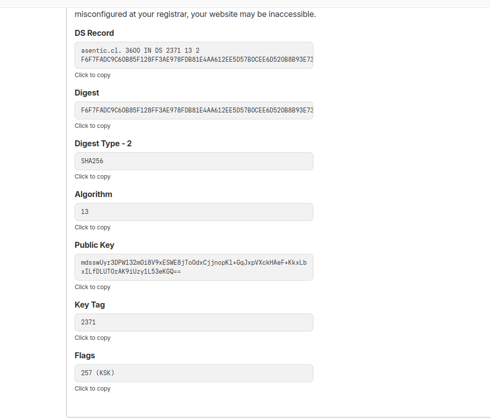 Registro DS completo generado por Cloudflare con los campos Key Tag, Algorithm, Digest Type y Digest